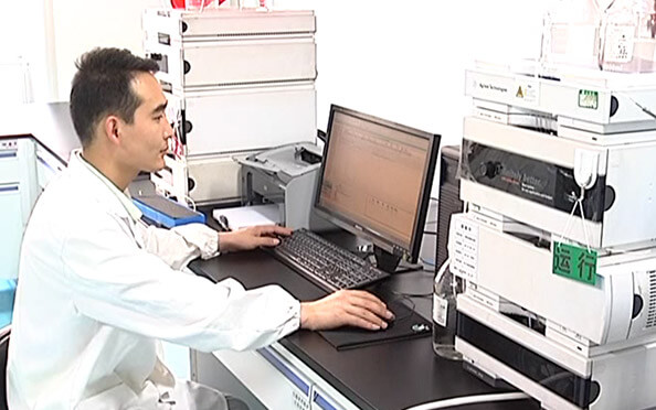 項目規劃 項目規劃